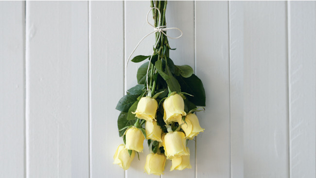 Dry roses 1